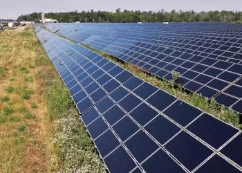 México, con potencial para el desarrollo de proyectos agrivoltaicos