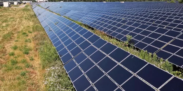 México, con potencial para el desarrollo de proyectos agrivoltaicos