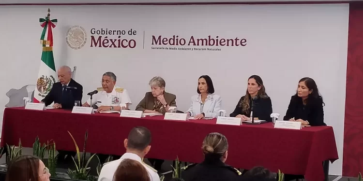 Chapopoteras de Cantarell, principal origen del derrame petrolero en el Golfo