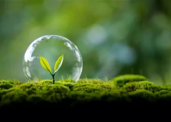 Organizaciones civiles exigen al gobierno mexicano avances claros en la implementación del Acuerdo de Escazú