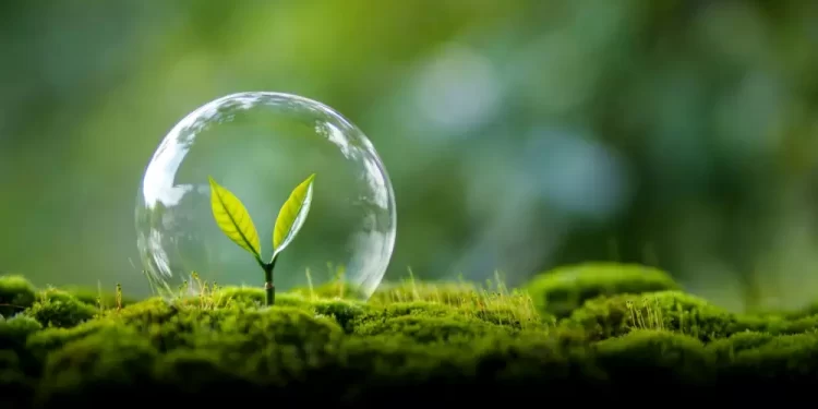 Organizaciones civiles exigen al gobierno mexicano avances claros en la implementación del Acuerdo de Escazú