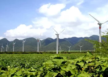 En evaluación, 17 mil MW en esquema mixto con CFE: Emilia Calleja