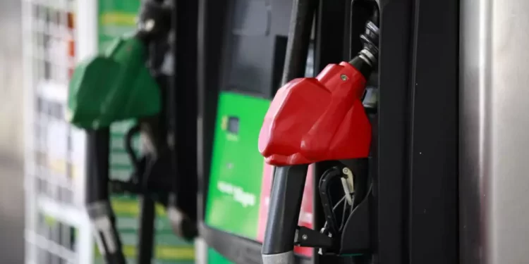 Reduce Hacienda más apoyo a combustibles ante descenso de petroprecios