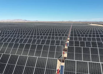 CFE adjudica 7,411 MW renovables y alcanza una cobertura de 114 % en su primera convocatoria de inversión mixta