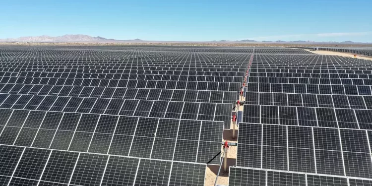 CFE adjudica 7,411 MW renovables y alcanza una cobertura de 114 % en su primera convocatoria de inversión mixta
