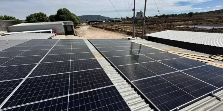 Ante el aumento de temperaturas por “El Niño”, los paneles solares son opción para mitigarlas