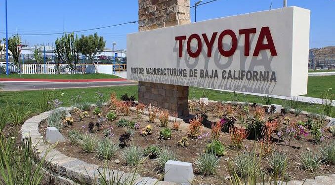 El arancel de Trump fractura la cadena automotriz: Toyota mudará la Tacoma de Tijuana a Texas