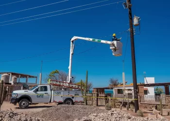 Invirtió CFE 1.16 mil millones de pesos en justicia energética en lo que va del año