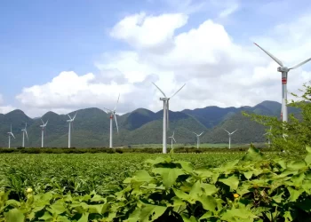 Prevé CFE adicionar 24 GW a la capacidad de generación eléctrica a 2030