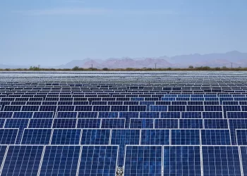(Parque La Orejana. Foto: Suma Energía)