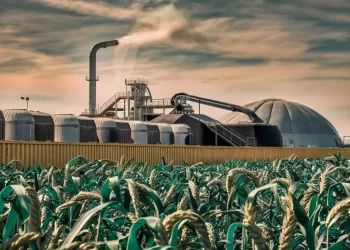Avanza reconocimiento de biocombustibles en la canasta energética de México