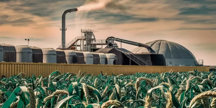 Avanza reconocimiento de biocombustibles en la canasta energética de México