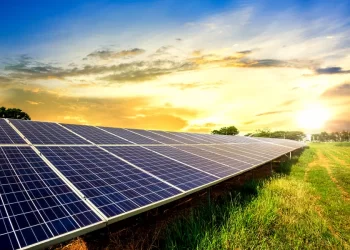 Debe el mundo agregar 1.2 TW anuales en nueva capacidad renovable al 2030: IRENA